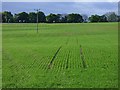 Farmland, Hurstbourne Tarrant