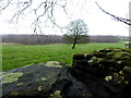 View from Donaghanie old graveyard