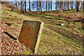 Gravestone, New Lanark Burial Ground