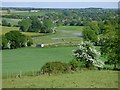 Farmland, Hurstbourne Tarrant