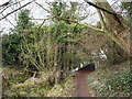 Baker Bridge, Upper Landywood