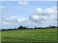 View to Tong Green Farm, Throwley