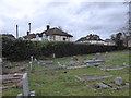 St Peter, Hersham: churchyard (m)