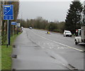 Bus, bike & taxi lane sign, Avondale Road, Cwmbran