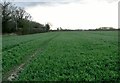 TM4093 : Wheat crop west of Raveningham Road by Evelyn Simak