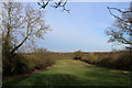 Long Thin Pasture off Millfield Lane