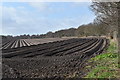 TM3546 : Cultivated fields on Hollesley Heath by Simon Mortimer