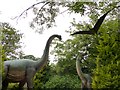 Dinosaurs in the Dino Park at Hetland Garden Centre