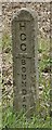 Old Boundary Marker by the A120, Hadham Road