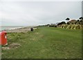 Kingston Gorse, coastal path