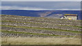 Stone walls & barn - view N from Outlands Rd, Bradwell