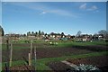 West Bergholt Allotments