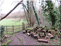 TQ4762 : Path through woodland near Pratts Bottom by Malc McDonald