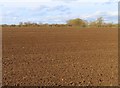 SP5212 : Arable field near Water Eaton by Steve Daniels