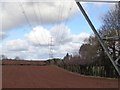 Power lines by Frere Felde Farm