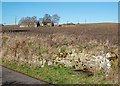 NH5849 : The Grey Well at Milton of Redcastle by valenta