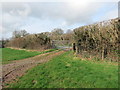 Llwybr ger Llwyn-dyrys / Path near Llwyn-dyrys