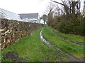 Old track in Dinas Cross