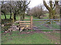 Llwybr Cefn Coed Isaf / Cefn Coed Isaf Path