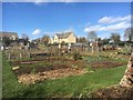 Newland Allotments