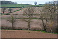 Taunton Deane : Muddy Field