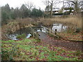 Sheepwash Pond, Prestwood (1)