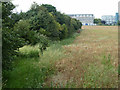 Hedgerow and field north of Love Lane