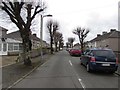 Tree-lined Coronation Avenue, Haverfordwest