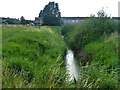 Ditch on the eastern fringe of Tilbury