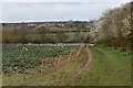 The Tang valley near Dock Farm