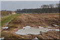 Wet fields above Dock Farm