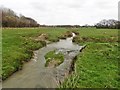 Ford on River Axe, near Mosterton