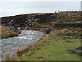 NY8301 : Little Sleddale Beck, looking downstream by Christine Johnstone