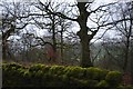 Moss covered capping stones