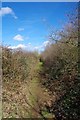 Footpath to Stanway green