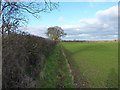 Footpath north of Windy Mundy Cottages