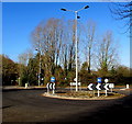 Tall lamppost in Upper Abercanaid