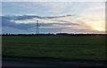 TL8436 : Field by the A131, Twinstead Green by David Howard
