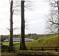 J0813 : Ravensdale Lodge Equestrian Centre, Co Louth by Eric Jones