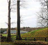 J0813 : Ravensdale Lodge Equestrian Centre, Co Louth by Eric Jones