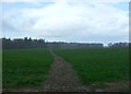 Footpath over field, Albrighton