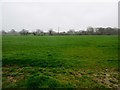 Footpath to Brinsbury Campus, Chichester College