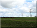 Pylons in a field of winter wheat