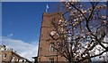 View of Chelsea Old Church from Ropers Gardens