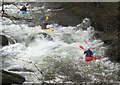 Canwyr ar Afon Ogwen / Canoeists on Afon Ogwen