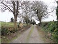 Lane leading to the ruined lodge of the Forkhill Rectory