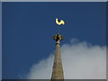 TF0039 : St Michael and All Angels: Weather Vane by Bob Harvey
