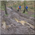 Muddy track in West Haigh Wood