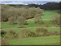 Farmland and woodland, Chute