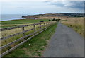 Cleveland Way at Boulby